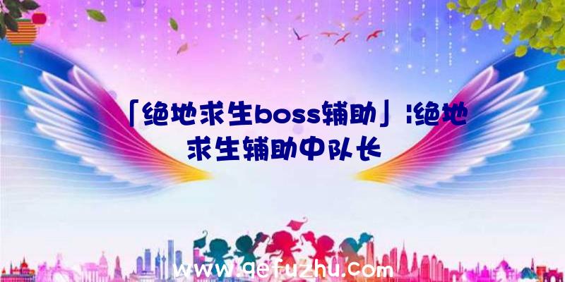 「绝地求生boss辅助」|绝地求生辅助中队长